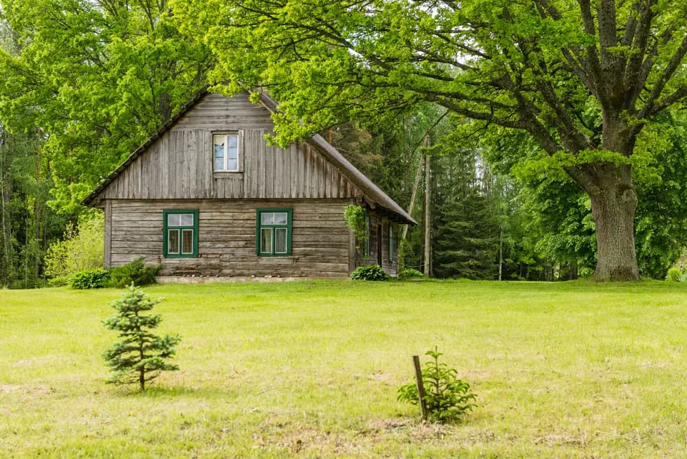 Birch Hollow Cabin